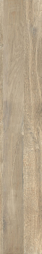 Brave oak 3D Texture